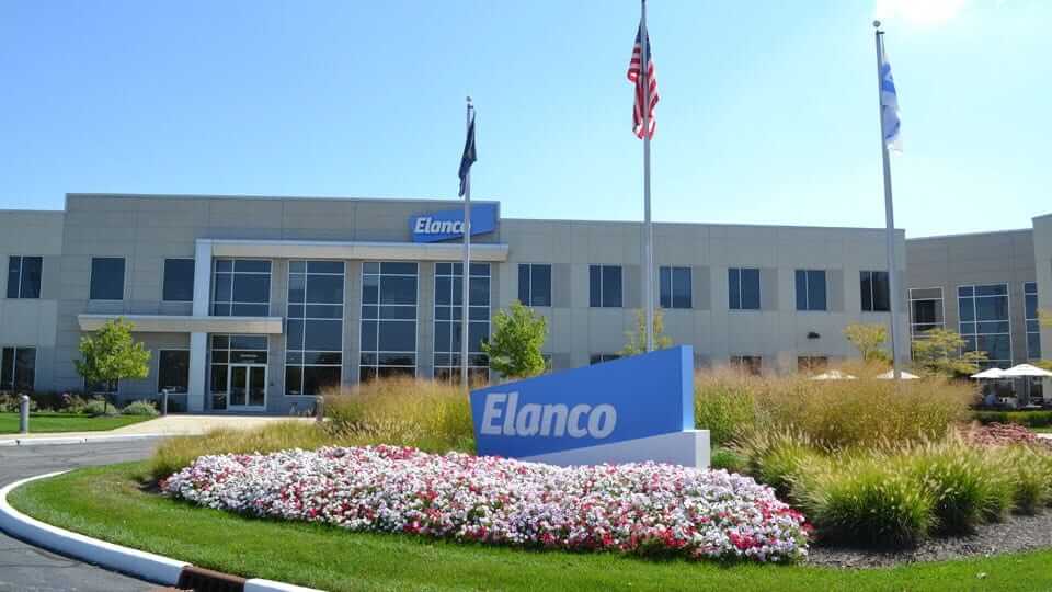 somos-elanco-empresa-salud-animal